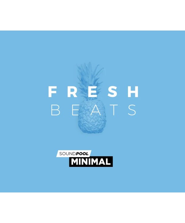 MAGIX Soundpool Fresh Beats ProducerPlanet Key GLOBAL